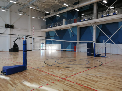 Стойки волейбольные телескопические Jinling Sports ZPZ-1A 13101 FIVB