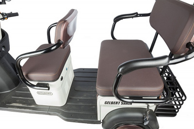 Электротрицикл 48V/60V 1000Вт RuTrike Gelbert Sarin 0000260