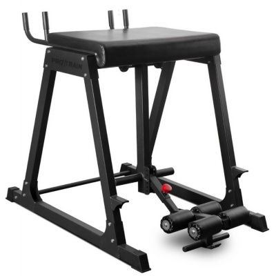 Protrain 678 RH — Гиперэкстензия обратная