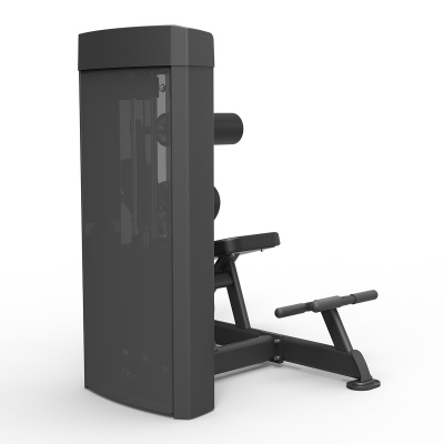 SPIRIT SP-4609 Пресс-разгибание спины