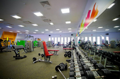 Многопозиционная скамья (0-80 градусов) Impulse IT7011 | Premium Fitness