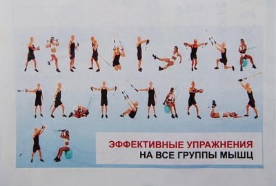 Эспандер Start Up Компакт однорядный 1,7м