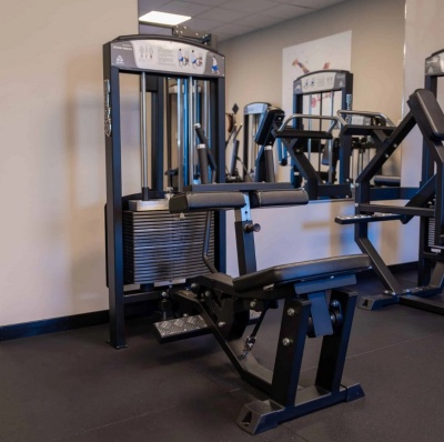 Gymleco 345 Голень сидя | Premium Fitness