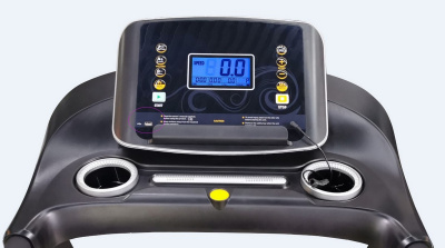 Беговая дорожка Royal Fitness RF-6