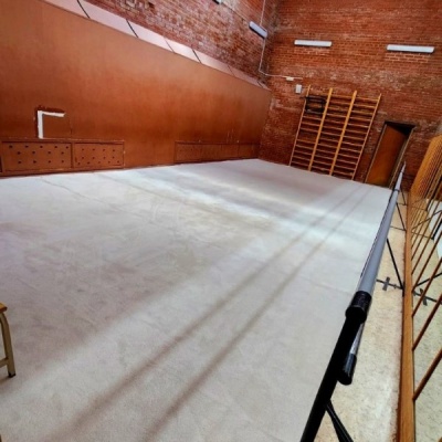 Ковер для художественной гимнастики GymSport PROF NEW 14Х14