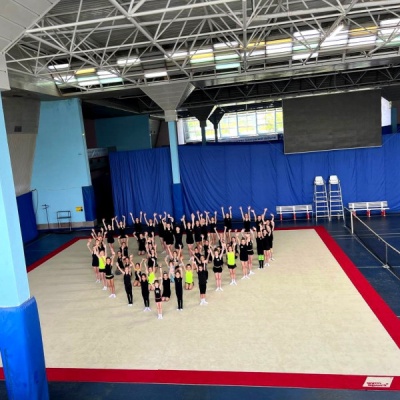 Ковер для эстетической гимнастики GymSport PROF PREMIUM RED 14Х14