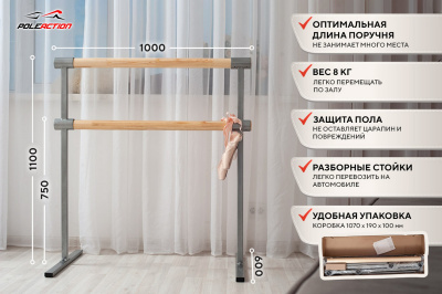 Двухрядный мобильный хореографический станок для дома Poleaction Eco HOME 506