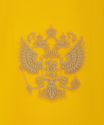 Шорты вратарские Jogel NATIONAL PerFormDRY GK Shorts, желтый