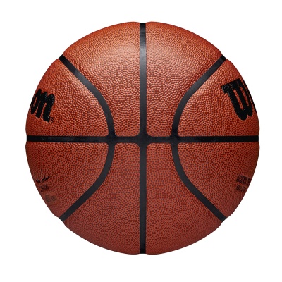 Мяч баскетбольный Wilson NBA Authentic WZ2016501XB7 р.7