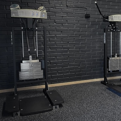 Gymleco 334 — Разведение рук стоя | Premium Fitness