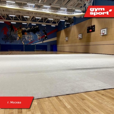 Ковер для художественной гимнастики GymSport PROF 14Х14