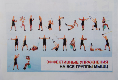 Эспандер Start Up Компакт однорядный 1,7м