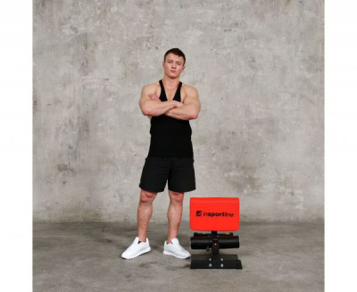 Тренажер для приседаний Sissy Squat DFC IN21715 | Premium Fitness