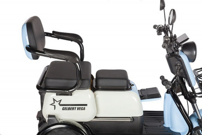 Электротрицикл 48V/60V 600Вт RuTrike Gelbert Vega 0000136