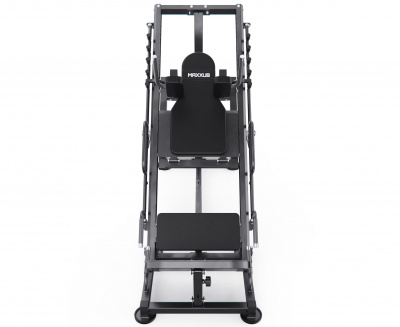 Гакк-машина и жим ногами DFC MAXXUS GSMX-600023-00019-0001 | Premium Fitness