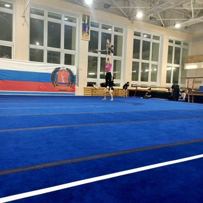 Ковер для спортивной гимнастики GymSport 14x14 Толщина 38 мм