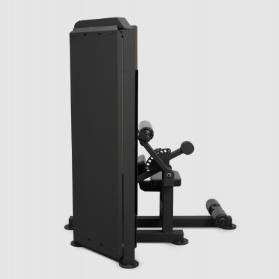 Профессиональная пресс-машина Bronze Gym Partner ML-812 | Premium Fitness