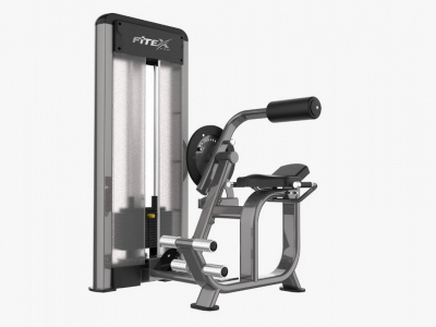 Комбинированная машина-пресс разгибатель спины Fitex Pro FTX-5508F
