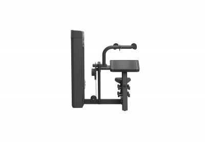 SPIRIT SP-4308 Трицепс