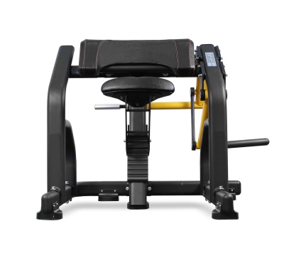 Bronze Gym PL-1713 Бицепс | Premium Fitness