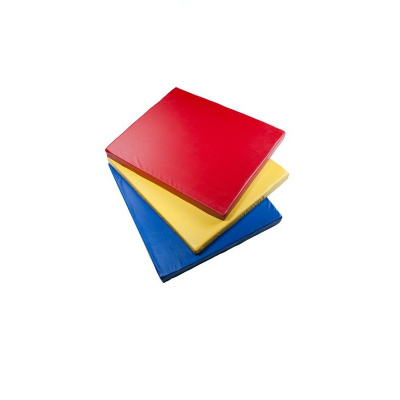 Чехол на мат гимнастический 100x200x8/6 ПЧ508
