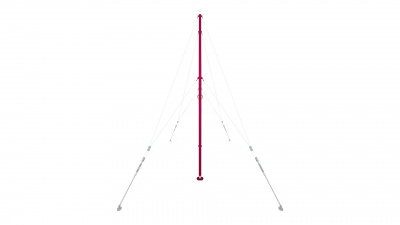 Стойка с кольцами (Одобрено FIG) TaiShan TQ1006B