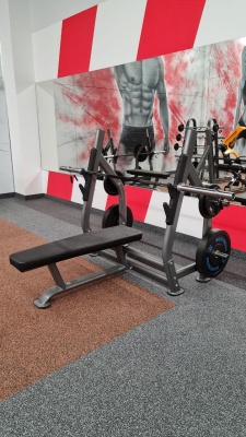 Скамья для жима горизонтальная Hasttings Digger HD004-4 | Premium Fitness