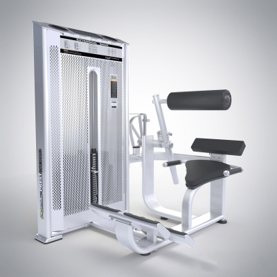 Разгибание Спины DHZ Back Extension E7031A