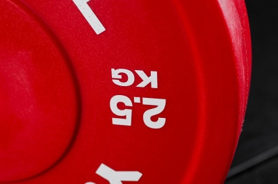Диск технический 2,5кг, пластиковый, D450мм, красный YouSteel
