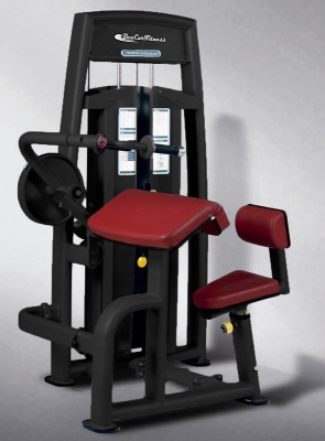 BenCarFitness TS-P055 Трицепс-машина