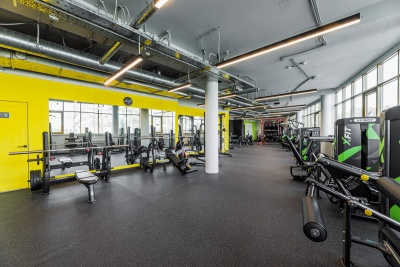 Олимпийская скамья горизонтальная SPIRIT SP-4209 | Premium Fitness