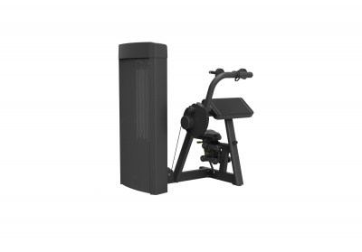 SPIRIT SP-4308 Трицепс