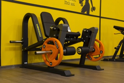Разгибание ног сидя Hasttings Digger HD017-5 | Premium Fitness