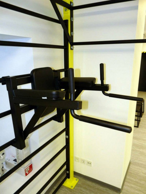 Брусья\Пресс навесные Foreman FY-279
