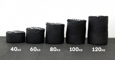 Стронгбэг(Strongman Sandbag) Stecter 100 кг 2376