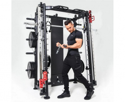 Мультистанция, машина Смита DFC Gorilla Sport 100822