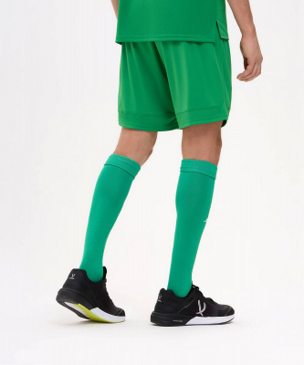 Шорты игровые Jogel DIVISION PerFormDRY Union Shorts, зеленый