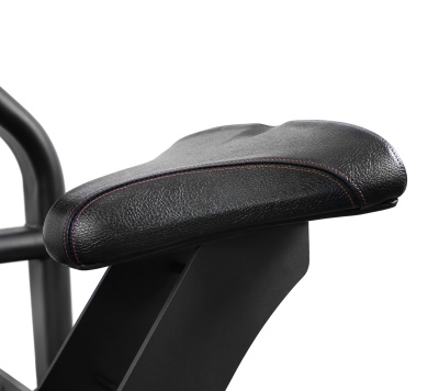 Bronze Gym PL-1713 Бицепс | Premium Fitness