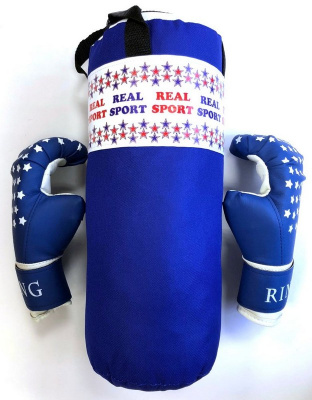 Набор боксерский Real Sport Мини RS250 синий